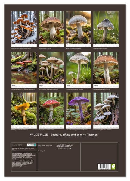 Produktbild: WILDE PILZE - Essbare, giftige und seltene Pilzarten (Wandkalender 2026 DIN A2 hoch), CALVENDO Monatskalender