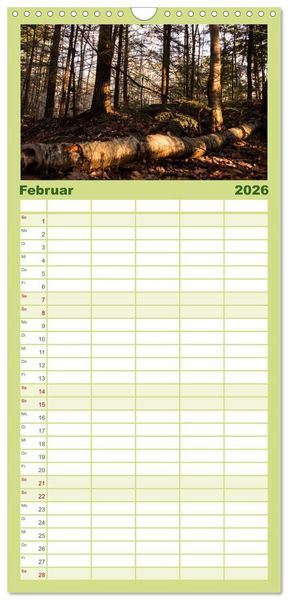 Produktbild: Familienplaner 2026 - Wald mit 5 Spalten (Wandkalender, 21 x 45 cm) CALVENDO