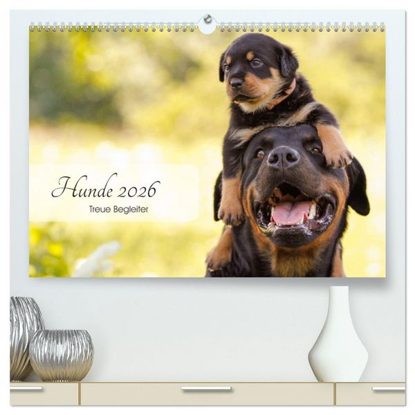 Hunde 2026 - Treue Begleiter (hochwertiger Premium Wandkalender 2026 DIN A2 quer), Kunstdruck in Hochglanz
