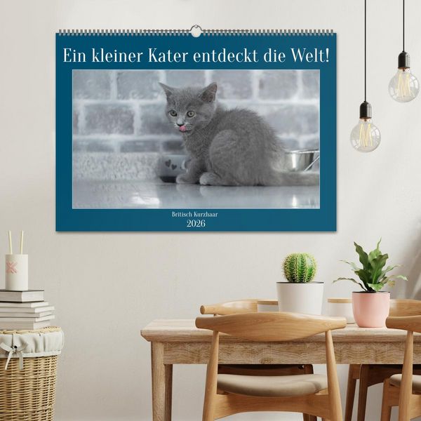 Produktbild: Ein kleiner Kater entdeckt die Welt! (Wandkalender 2026 DIN A2 quer), CALVENDO Monatskalender