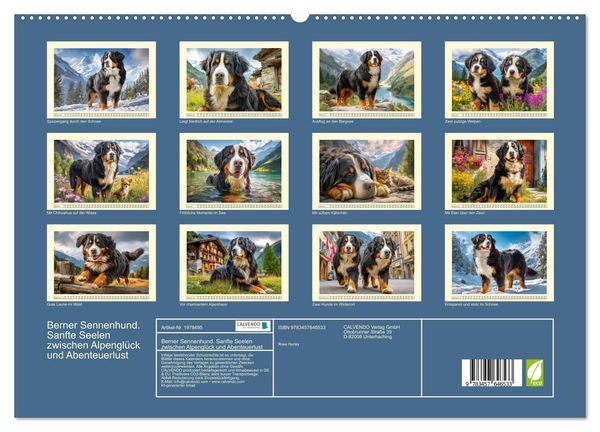 Produktbild: Berner Sennenhund. Sanfte Seelen zwischen Alpengl&uuml;ck und Abenteuerlust (hochwertiger Premium Wandkalender 2026 DIN A2 quer), Kunstdruck in Hochglanz