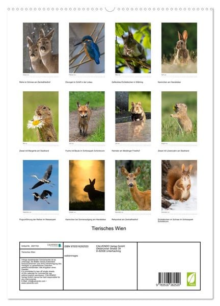 Produktbild: Tierisches Wien (hochwertiger Premium Wandkalender 2026 DIN A2 hoch), Kunstdruck in Hochglanz