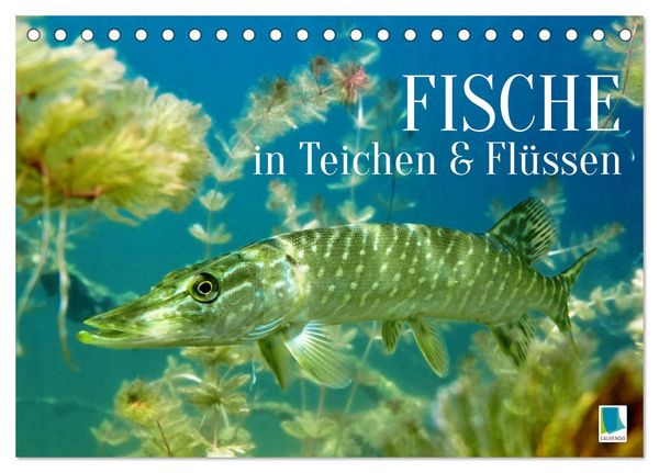 Produktbild: Fische in Teichen und Fl&uuml;ssen (Tischkalender 2026 DIN A5 quer), CALVENDO Monatskalender