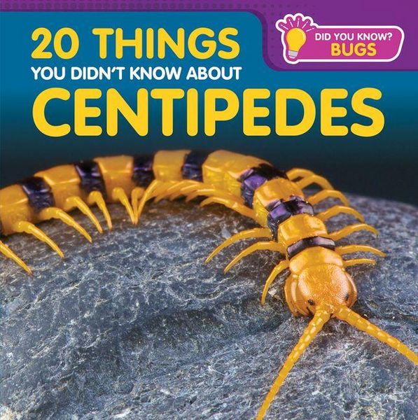 Produktbild: 20 Things You Didn't Know about Centipedes