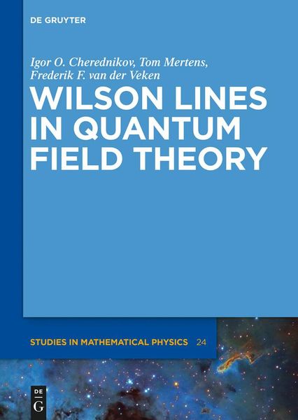 Produktbild: Wilson Lines in Quantum Field Theory