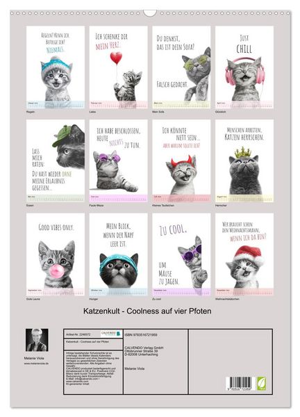 Produktbild: Katzenkult - Coolness auf vier Pfoten (Wandkalender 2026 DIN A2 hoch), CALVENDO Monatskalender