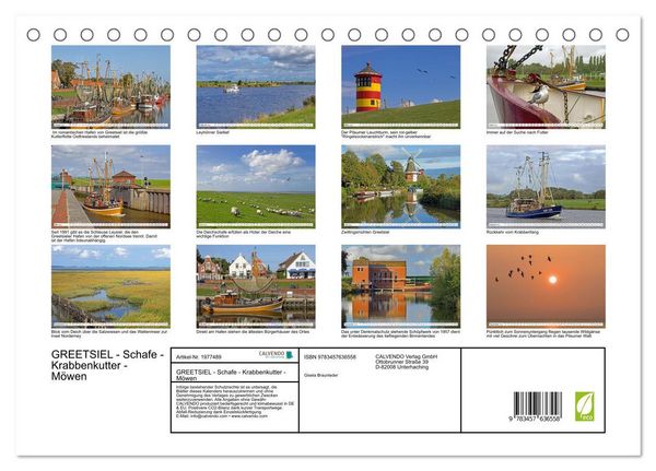 Produktbild: GREETSIEL - Schafe - Krabbenkutter - M&ouml;wen (Tischkalender 2026 DIN A5 quer), CALVENDO Monatskalender