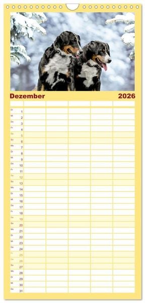 Produktbild: Familienplaner 2026 - Appenzeller Sennenhunde - Fr&ouml;hliche Kameraden mit 5 Spalten (Wandkalender, 21 x 45 cm) CALVENDO