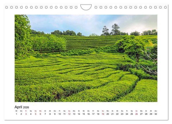 Produktbild: Sao Miguel - Die ganze Vielfalt der Azoren (Wandkalender 2026 DIN A4 quer), CALVENDO Monatskalender
