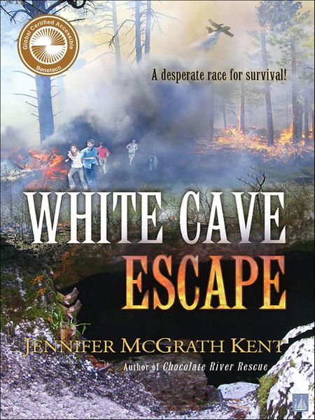 Produktbild: White Cave Escape