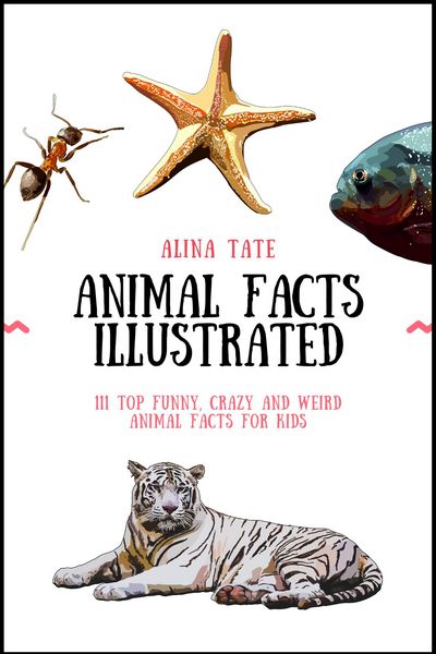Produktbild: Animal Facts Illustrated: 111 Top Funny, Crazy, and Weird Animal Facts for Kids