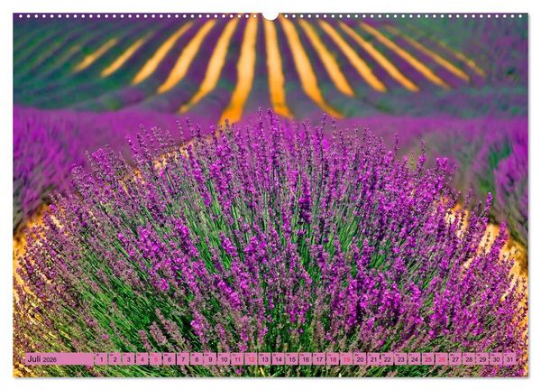 Produktbild: Lila - die mystische Farbe (Wandkalender 2026 DIN A2 quer), CALVENDO Monatskalender