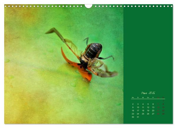 Produktbild: Kalenderspr&uuml;che (Wandkalender 2026 DIN A3 quer), CALVENDO Monatskalender