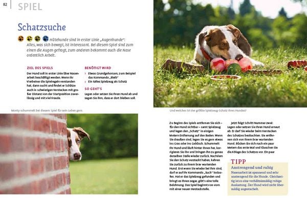 Produktbild: Spiele und Action f&uuml;r ausgeglichene H&uuml;tehunde
