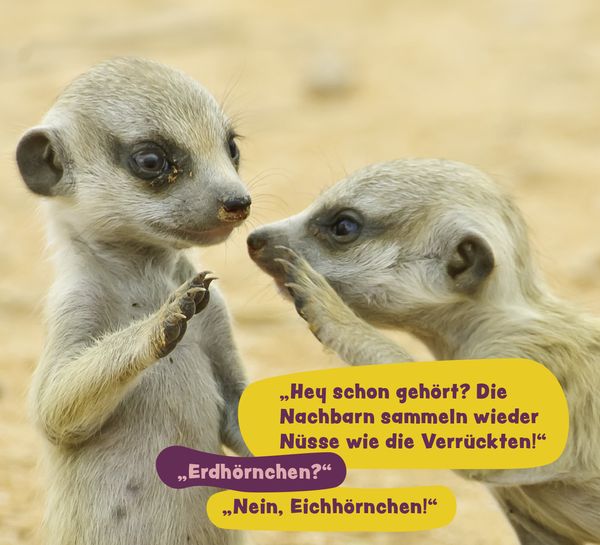 Produktbild: Tierisch gechillt!