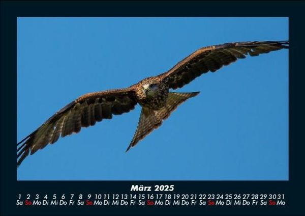 Produktbild: Adler 2025 Fotokalender DIN A5