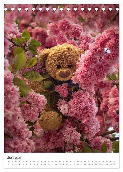 Produktbild: Travelling Teddy liebt Blumen und Bl&uuml;ten (Tischkalender 2026 DIN A5 hoch), CALVENDO Monatskalender