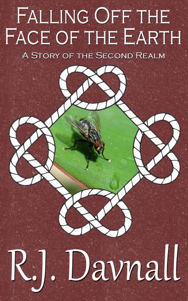Produktbild: Falling Off the Face of the Earth (The Second Realm, #7)