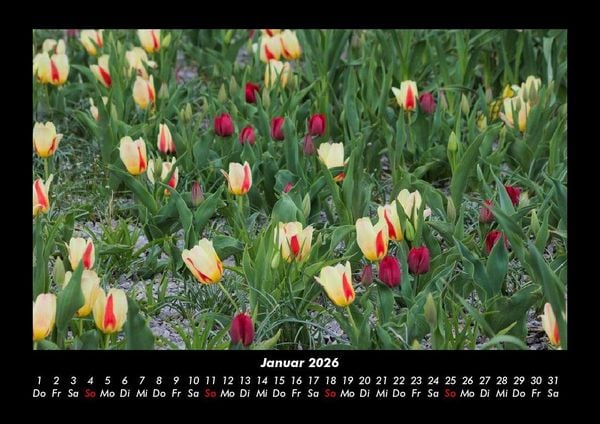 Produktbild: Blumenkalender 2026 Fotokalender DIN A3