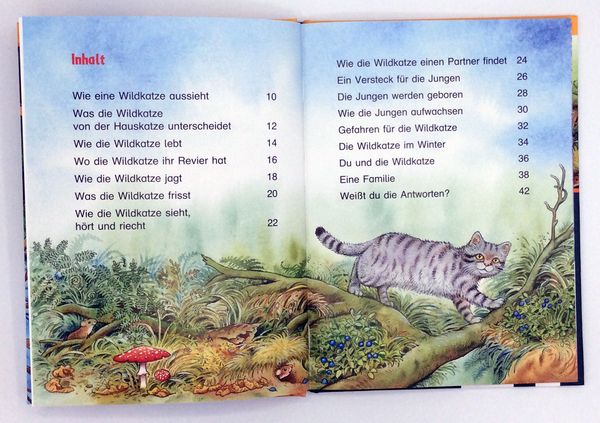 Produktbild: Die Wildkatze