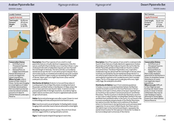 Produktbild: Spalton, A: Field Guide to the Mammals of Oman