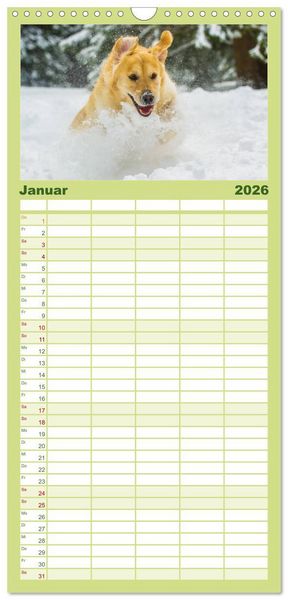 Produktbild: Familienplaner 2026 - Das Gl&uuml;ck hat einen Namen - Golden Retriever mit 5 Spalten (Wandkalender, 21 x 45 cm) CALVENDO
