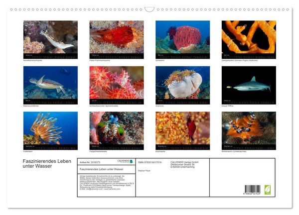 Produktbild: Faszinierendes Leben unter Wasser (Wandkalender 2026 DIN A2 quer), CALVENDO Monatskalender