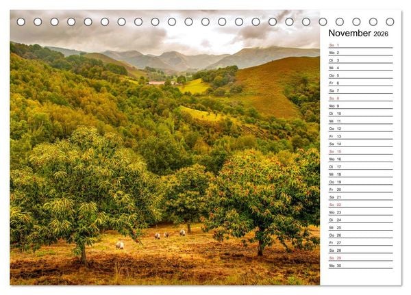 Produktbild: Wilde Pyren&auml;en (Tischkalender 2026 DIN A5 quer), CALVENDO Monatskalender