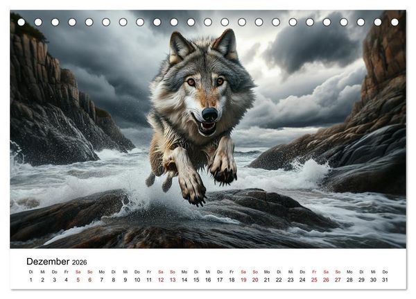 Produktbild: Kanadische K&uuml;stenw&ouml;lfe (Tischkalender 2026 DIN A5 quer), CALVENDO Monatskalender