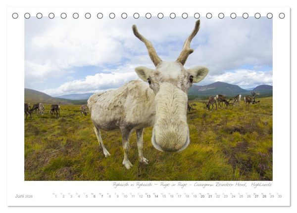 Produktbild: Sehnsucht Schottland (Tischkalender 2026 DIN A5 quer), CALVENDO Monatskalender