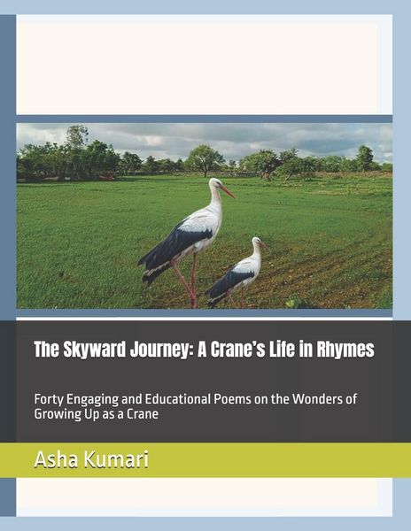 Produktbild: The Skyward Journey