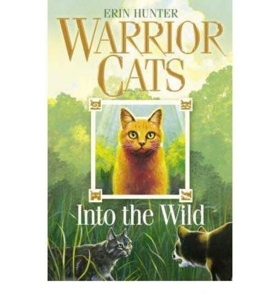 Produktbild: Warrior Cats Into Wild Pb