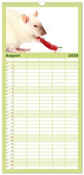 Produktbild: Familienplaner 2026 - S&uuml;&szlig;e M&auml;use und Coole Ratten mit 5 Spalten (Wandkalender, 21 x 45 cm) CALVENDO