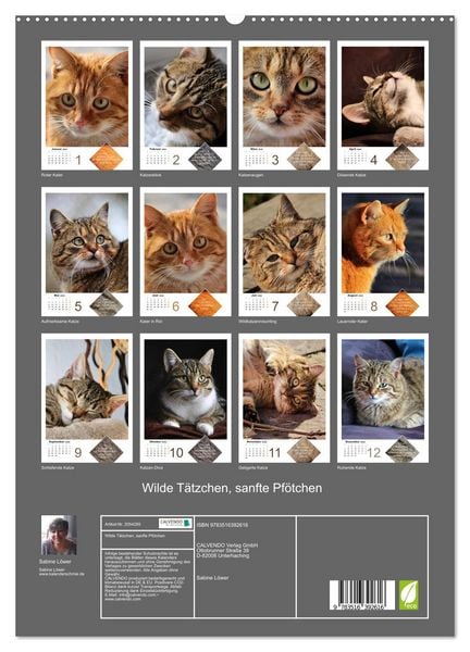 Produktbild: Wilde T&auml;tzchen, sanfte Pf&ouml;tchen (hochwertiger Premium Wandkalender 2026 DIN A2 hoch), Kunstdruck in Hochglanz