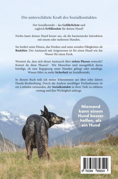 Produktbild: Gespr&auml;che von Hund zu Hund verstehen und meistern