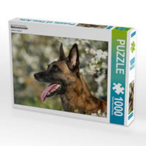 CALVENDO Puzzle Malinoishündin | 1000 Teile Lege-Größe 64x48cm Foto-Puzzle für glückliche Stunden