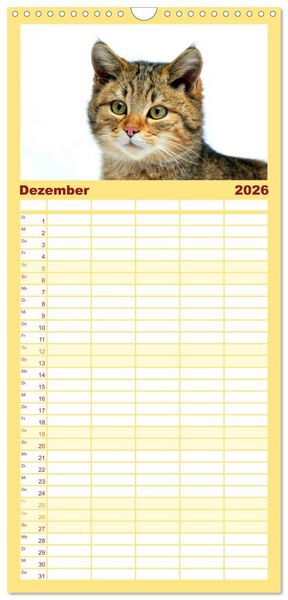 Produktbild: Familienplaner 2026 - Nachwuchs in der Tierwelt mit 5 Spalten (Wandkalender, 21 x 45 cm) CALVENDO