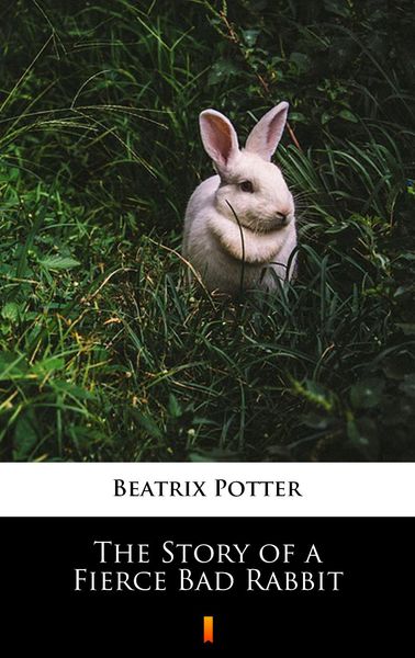 Produktbild: The Story of a Fierce Bad Rabbit