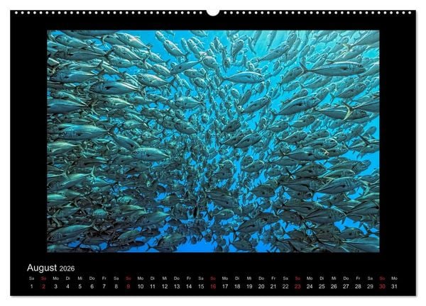 Produktbild: OCEAN - ART (Wandkalender 2026 DIN A2 quer), CALVENDO Monatskalender
