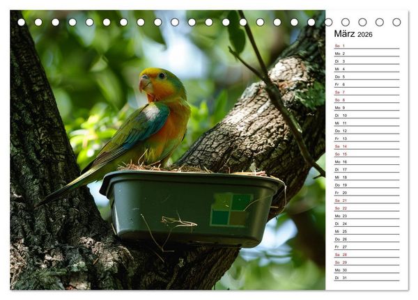 Produktbild: Der Geocaching Found it Kalender (Tischkalender 2026 DIN A5 quer), CALVENDO Monatskalender