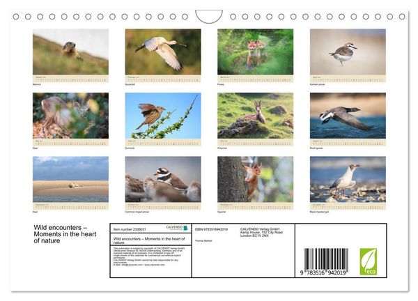 Produktbild: Wild encounters &ndash; Moments in the heart of nature (Wall Calendar 2027 DIN A4 landscape), CALVENDO 12 Month Wall Calendar