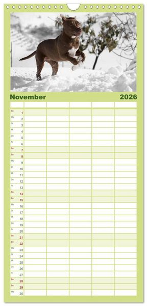 Produktbild: Familienplaner 2026 - Pit Bull und Co. - Geliebt, gef&uuml;rchtet, missverstanden mit 5 Spalten (Wandkalender, 21 x 45 cm) CALVENDO