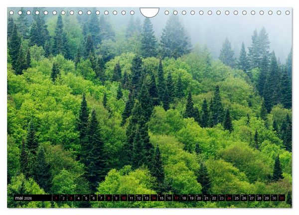 Produktbild: GASP&Eacute;SIE. Parc National du Qu&eacute;bec (Calendrier mural 2026 DIN A4 vertical), CALVENDO calendrier mensuel
