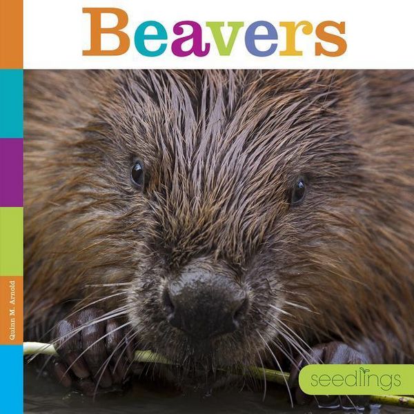 Produktbild: Beavers