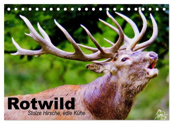 Produktbild: Rotwild. Edle Hirsche, stolze K&uuml;he (Tischkalender 2026 DIN A5 quer), CALVENDO Monatskalender