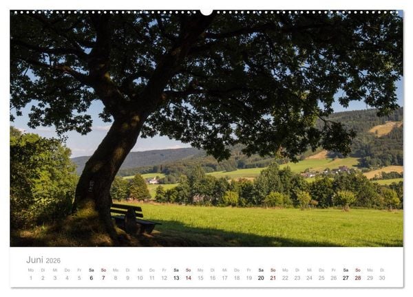 Produktbild: Wundersch&ouml;ne B&auml;ume im Sauerland (hochwertiger Premium Wandkalender 2026 DIN A2 quer), Kunstdruck in Hochglanz