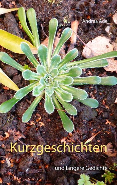 Kurzgeschichten, Taschenbuch von Andrea Ade, BoD – Books on Demand, 9783746011318