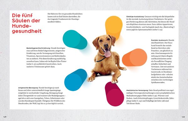 Produktbild: Oh Happy Dog!