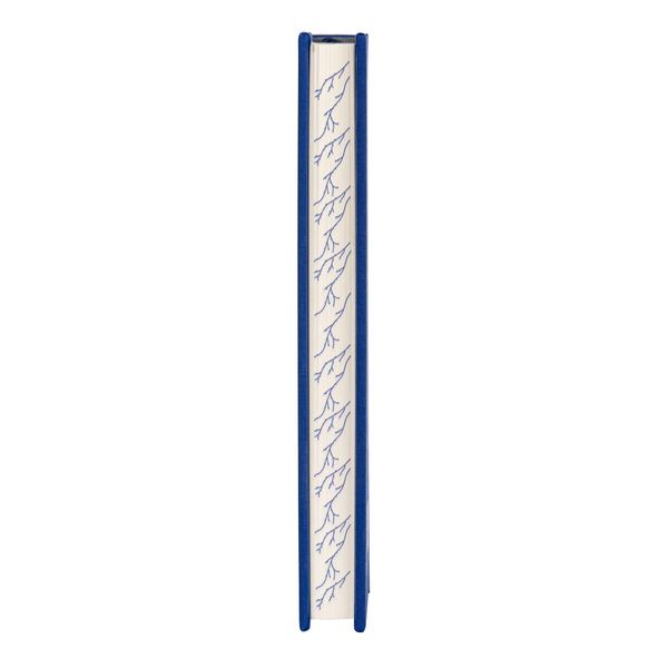 Produktbild: Wuthering Heights. Signature Clothbound Edition