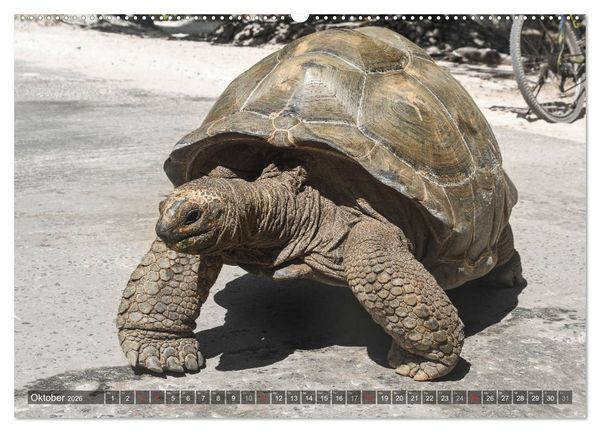 Produktbild: Seychellen - Das letzte Paradies auf Erden (Wandkalender 2026 DIN A2 quer), CALVENDO Monatskalender